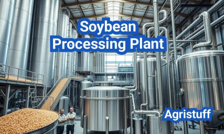 Soybean Processing Plant: Oil Extraction, Meal Production, and By-Products