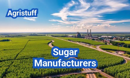 Sugar Manufacturers in the U.S.: Where Sugar Comes From and Who Produces It