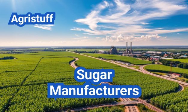 Sugar Manufacturers in the U.S.: Where Sugar Comes From and Who Produces It