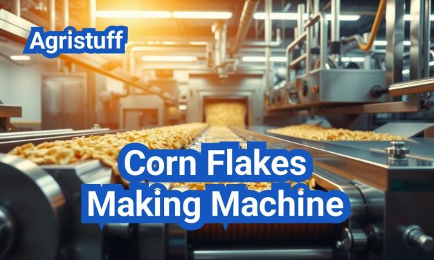 Corn Flakes Making Machine: From Flaking to Toasting—Specs That Matter