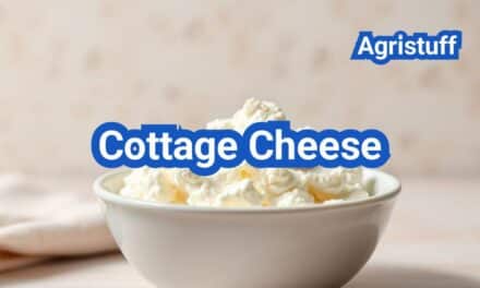 Cottage Cheese: Everything You Need to Know