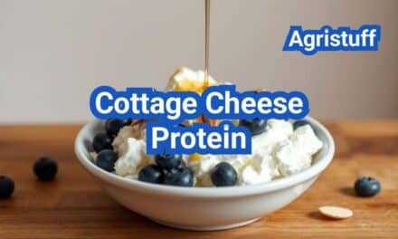 Cottage Cheese Protein: How to Hit 30g With Simple Recipes