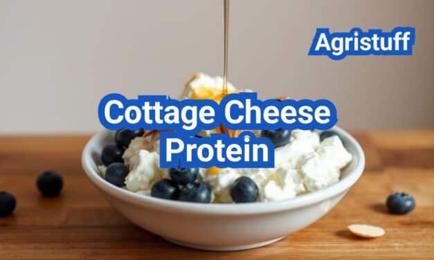 Cottage Cheese Protein: How to Hit 30g With Simple Recipes