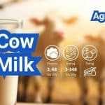 Cow Milk: Composition, Standards, and Everyday Uses
