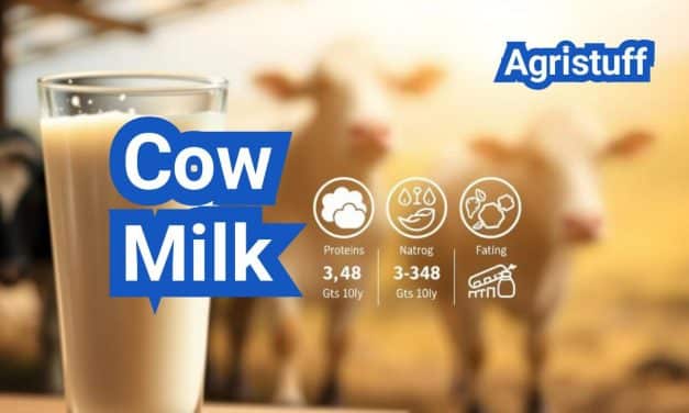 Cow Milk: Composition, Standards, and Everyday Uses
