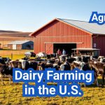 Dairy Farming in the U.S.: Breeds, Feeding, and Milk Yields