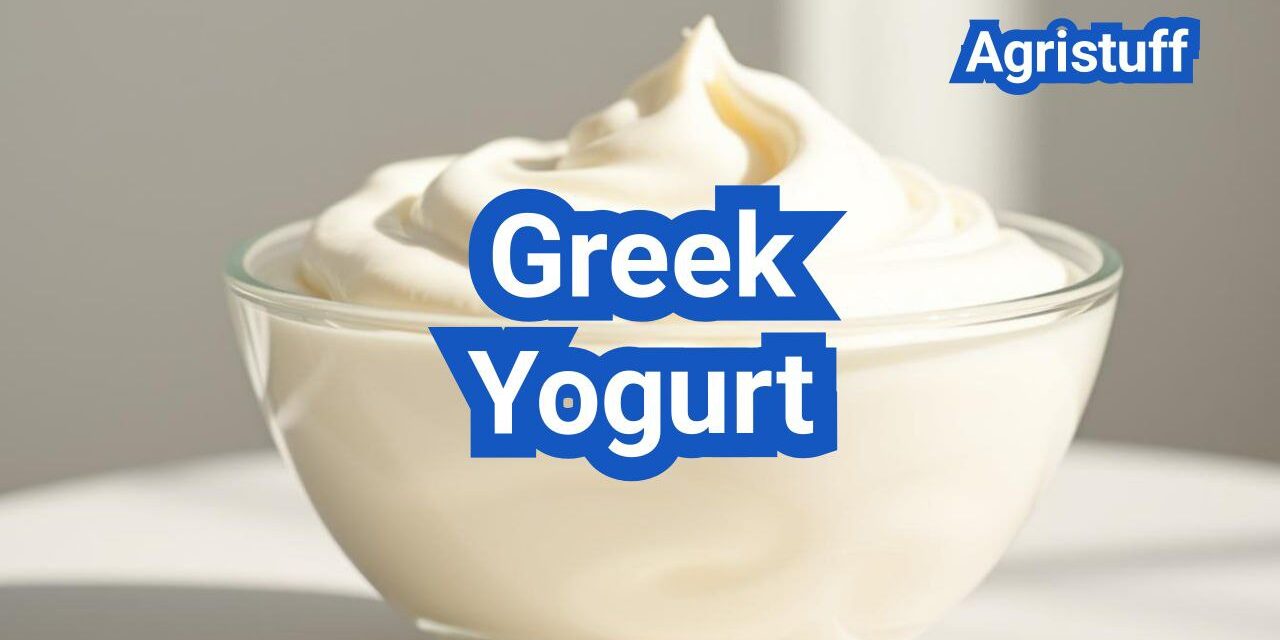 Greek Yogurt: Everything You Need to Know