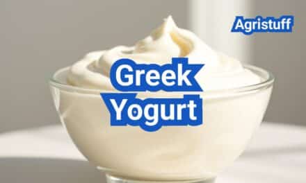 Greek Yogurt: Everything You Need to Know