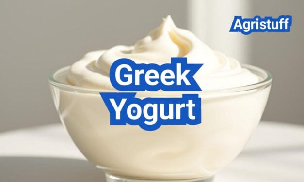 Greek Yogurt: Everything You Need to Know