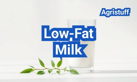 Low-Fat Milk: Who Should Choose It and What You’re Trading Off