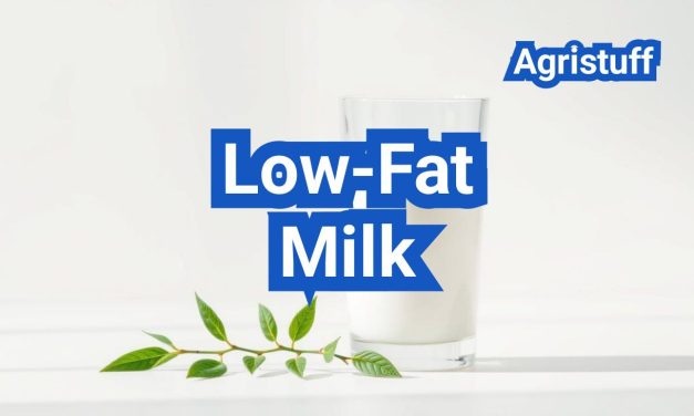 Low-Fat Milk: Who Should Choose It and What You’re Trading Off