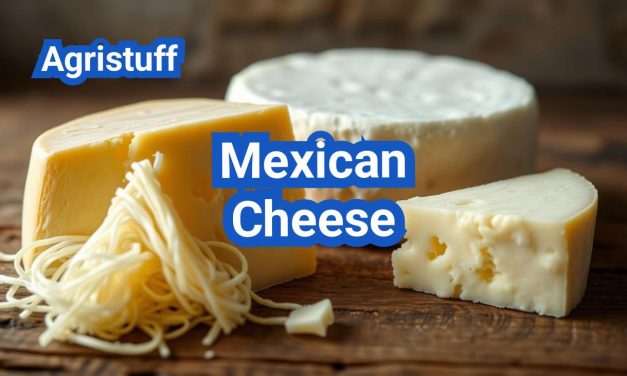 Mexican Cheese: Oaxaca, Queso Fresco, and What to Buy in the U.S.