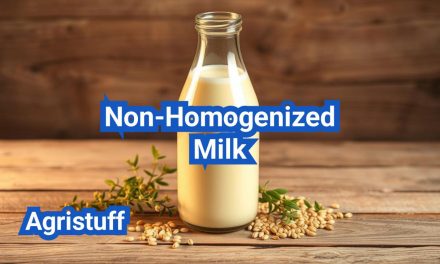 Non-Homogenized Milk (Cream-Top): Benefits and Best Uses