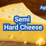 Semi Hard Cheese: Meaning, Characteristics, Making, Types, List, Examples And Uses