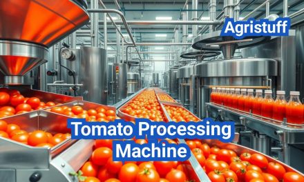 Tomato Processing Machine: From Pulping to Aseptic Filling