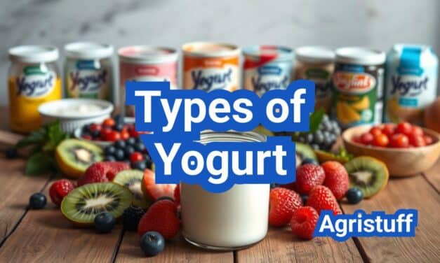 Types of Yogurt: Everything You Need to Know