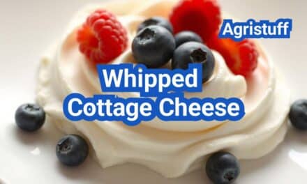 Whipped Cottage Cheese: Processing, Creamy High-Protein Snack Ideas