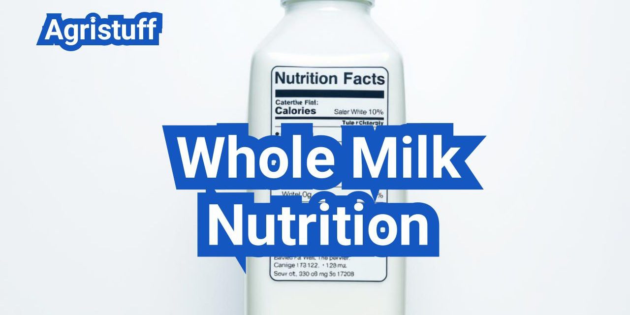 Whole Milk Nutrition: Calories, Fats, and When It Makes Sense