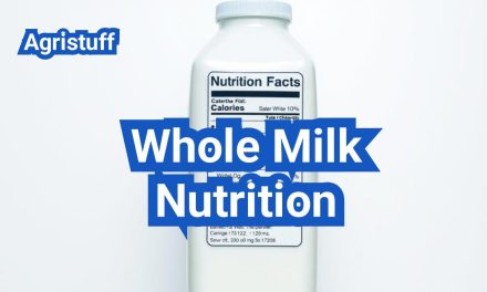 Whole Milk Nutrition: Calories, Fats, and When It Makes Sense
