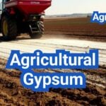 Agricultural Gypsum: Fixing Sodicity and Improving Soil Structure—Does It Pay?