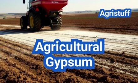Agricultural Gypsum: Fixing Sodicity and Improving Soil Structure—Does It Pay?