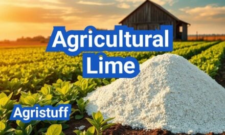 Agricultural Lime: When to Apply, How Much, and Results to Expect