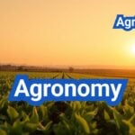 Agronomy Explained: Core Principles and Field Practices for Higher Yields