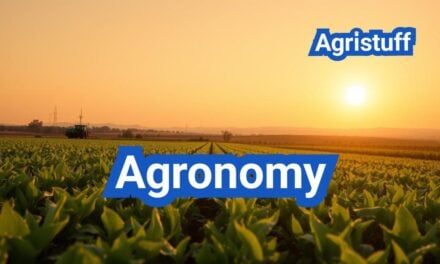 Agronomy Explained: Core Principles and Field Practices for Higher Yields