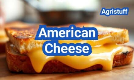 American Cheese: How It’s Made, Meltability, and Best Sandwiches