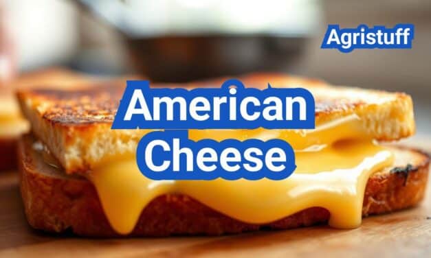 American Cheese: How It’s Made, Meltability, and Best Sandwiches