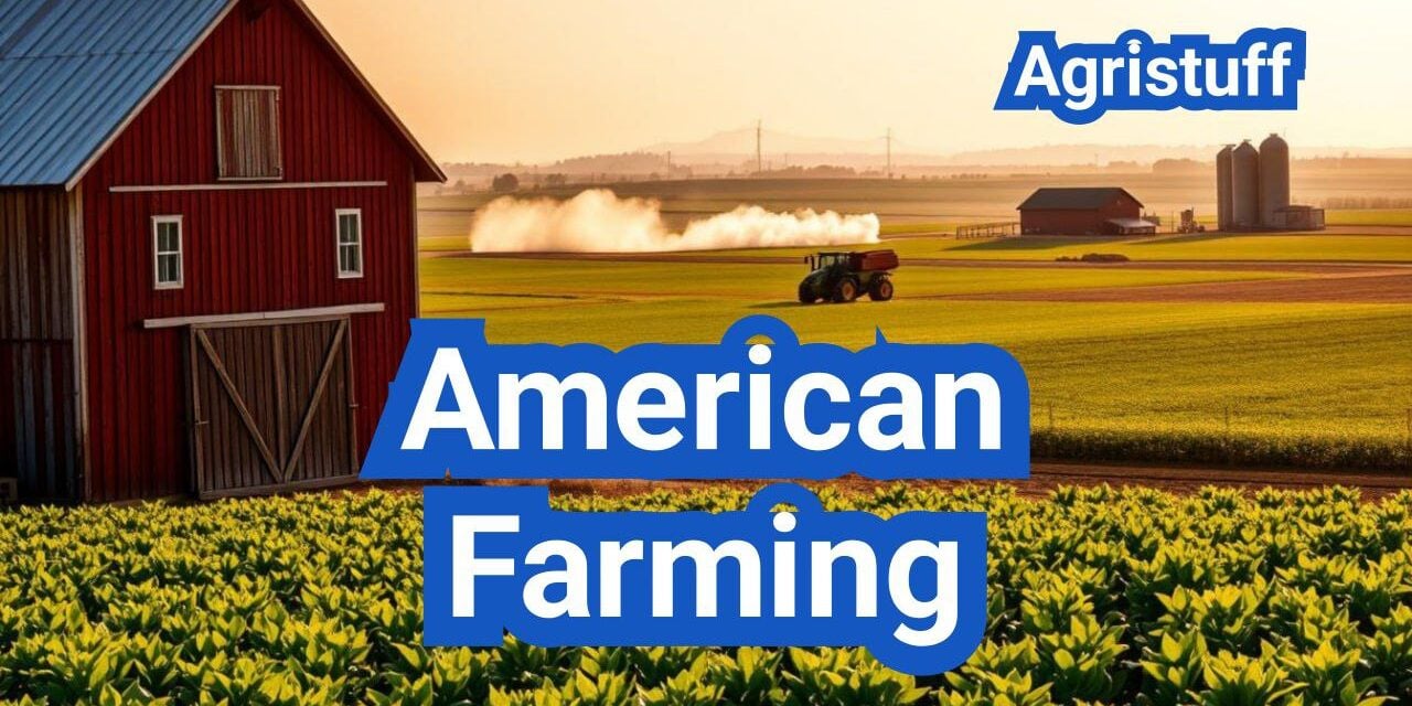 American Farming: Everything You Need to Know