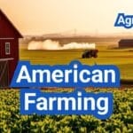 American Farming: Everything You Need to Know