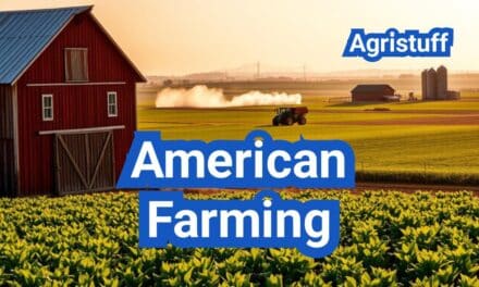 American Farming: Everything You Need to Know