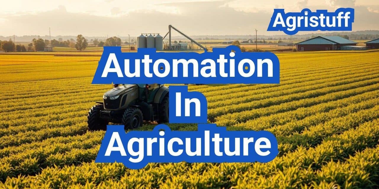Automation In Agriculture: Labor Savings, Safety, and Where to Start