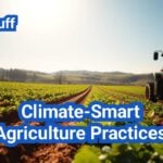 Climate-Smart Agriculture Practices: Practical Steps to Reduce Emissions