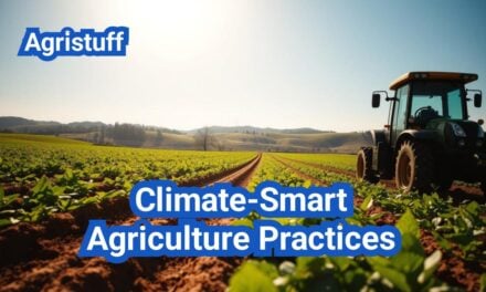 Climate-Smart Agriculture Practices: Practical Steps to Reduce Emissions