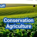 Conservation Agriculture: No-Till, Cover Crops, and Reduced Tillage—When to Use Each