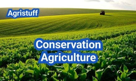 Conservation Agriculture: No-Till, Cover Crops, and Reduced Tillage—When to Use Each