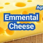 Emmental Cheese: History, Types, Processing Steps, Equipment And Uses