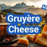 Gruyère Cheese: History, Types, Processing Steps, Equipment And Uses