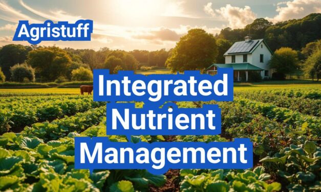 Integrated Nutrient Management: Balance N-P-K with Organic Inputs the Smart Way