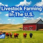 Livestock Farming In The U.S.: Everything You Need to Know