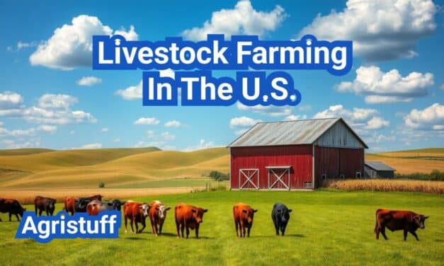 Livestock Farming In The U.S.: Everything You Need to Know