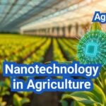 Nanotechnology in Agriculture: Sensors, Smart Delivery, and Real Farm Uses