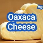 Oaxaca Cheese: Stretch, Melt, and Best Mexican Dishes