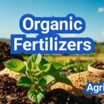 Organic Fertilizers: Definition, Types, List, Examples, Advantages And Uses