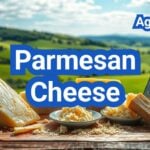Parmesan Cheese: History, Types, Processing Steps, Equipment And Uses