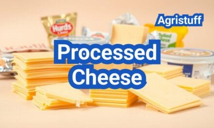 Processed Cheese: Definition, History, Types, Processing Steps, Equipment And Uses