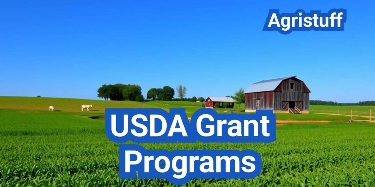 USDA Grant Programs: Who Qualifies, How to Apply, and Timelines