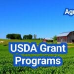 USDA Grant Programs: Who Qualifies, How to Apply, and Timelines
